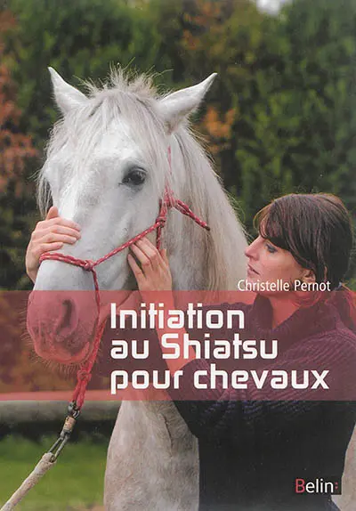 Initiation au shiatsu pour chevaux : le pouvoir du toucher