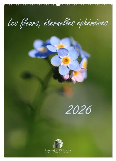 Les fleurs, éternelles éphemères (Calendrier mural 2026 DIN A2 horizontal), CALVENDO calendrier mensuel : Un calendrier poétique qui capture, mois après mois, la beauté fugace et intemporelle des fleurs dans toute leur splendeur éphémère.