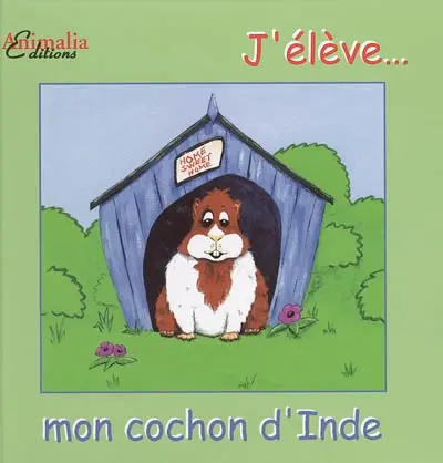 Mon cochon d'Inde
