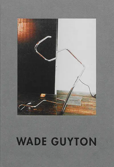 Wade Guyton
