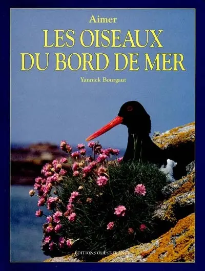 Les oiseaux du bord de mer