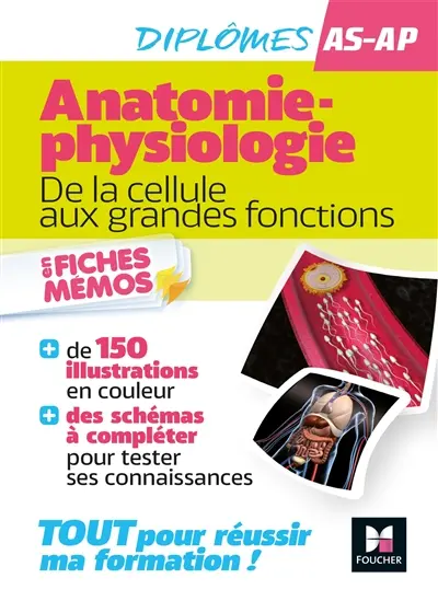 Anatomie-physiologie : de la cellule aux grandes fonctions en fiches mémos : diplômes AS-AP