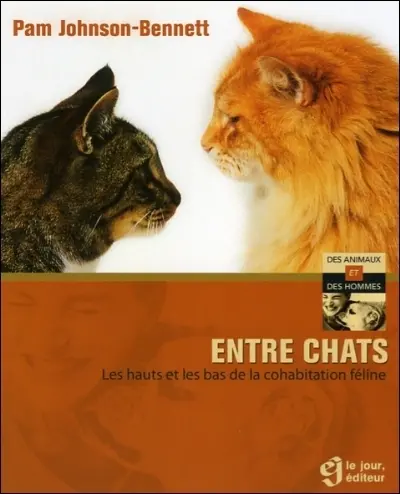Entre chats : les hauts et les bas de la cohabitation féline