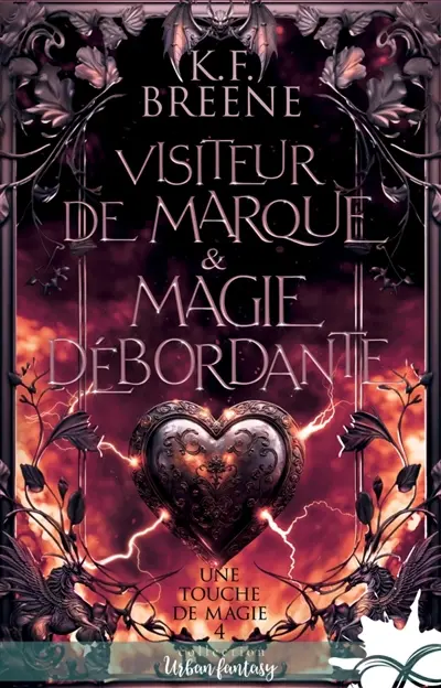 Visiteur de marque & magie débordante : Une touche de magie, T4
