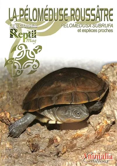 La péloméduse roussâtre : pelomedusa subrufa et espèces proches