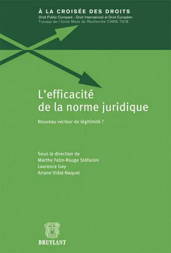 L'efficacité de la norme juridique : nouveau vecteur de légitimité ?