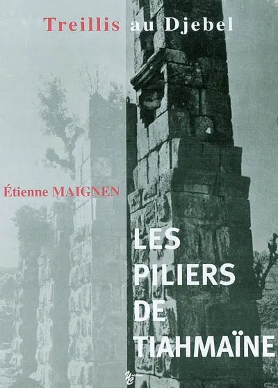 Les piliers de Tiahmaïne : treillis au djebel