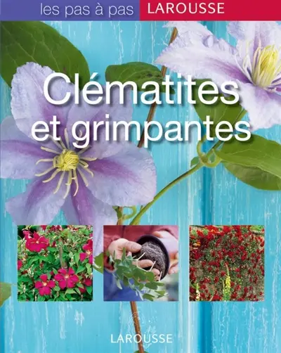 Clématites et grimpantes