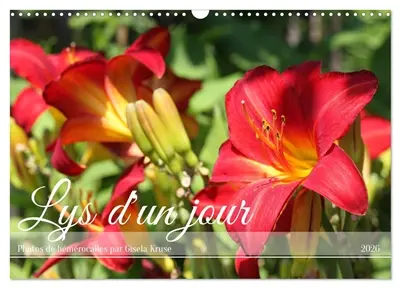 Lys d'un jour (Calendrier mural 2026 DIN A3 vertical), CALVENDO calendrier mensuel : Une fleur d'été à la floraison inlassable