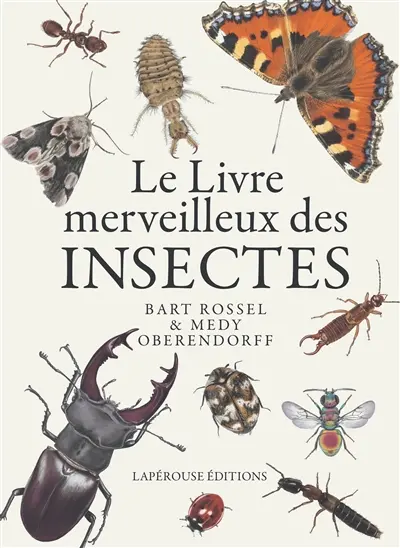 Le livre merveilleux des insectes : du bombardier, du bousier, de la guêpe émeraude et de bien d'autres petites bêtes