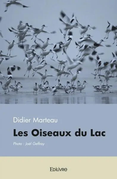 Les oiseaux du lac