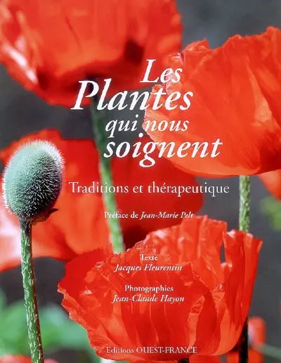 Les plantes qui nous soignent : traditions et thérapeutique