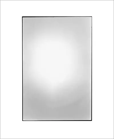 Zoe Leonard Available Light