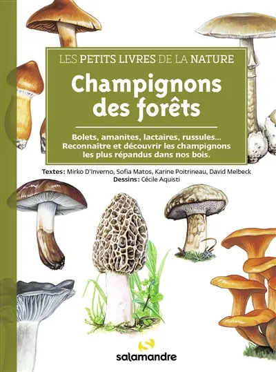 Champignons des forêts : bolets, amanites, lactaires, russules... : reconnaître et découvrir les champignons les plus répandus dans nos bois