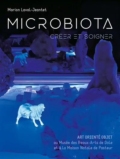 Microbiota : créer et soigner : Art orienté objet au musée des Beaux-Arts de Dole et à la maison natale de Pasteur, 10 juin-25 septembre 2016