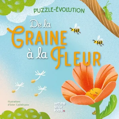 De la graine à la fleur