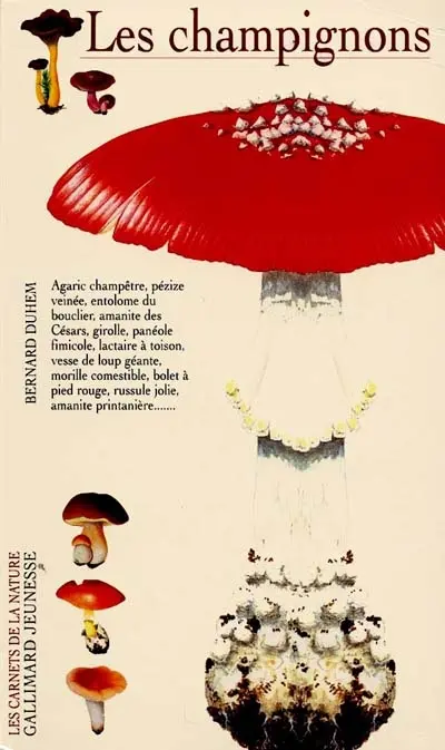 Les champignons