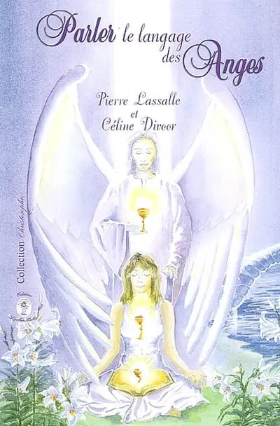Parler le langage des anges : synthèse de conférences données en 2005 et 2006, revues et corrigées par les auteurs