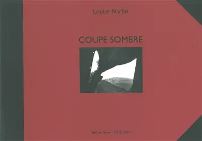 Coupe sombre : un journal traversé
