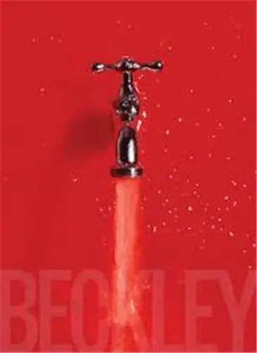 Bill Beckley and Narrative Art : The Word-Image Riddle and the Aesthetics of Beauty