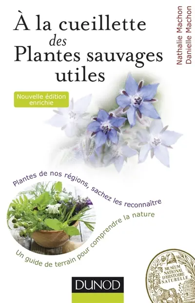 A la cueillette des plantes sauvages utiles