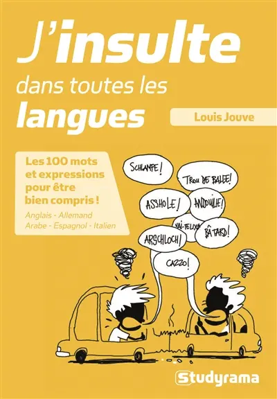 J'insulte dans toutes les langues : anglais, espagnol, italien, allemand, arabe