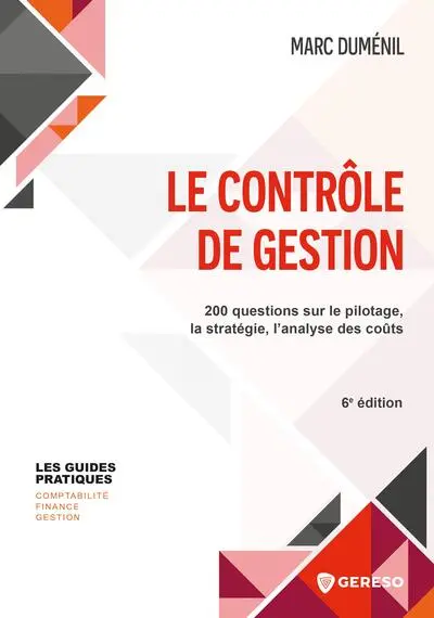 Le contrôle de gestion : 200 questions sur le pilotage, la stratégie, l'analyse des coûts