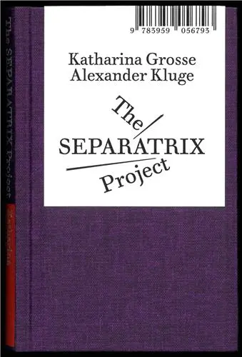 Alexander Kluge/Katharina Grosse The SEPARATRIX Project