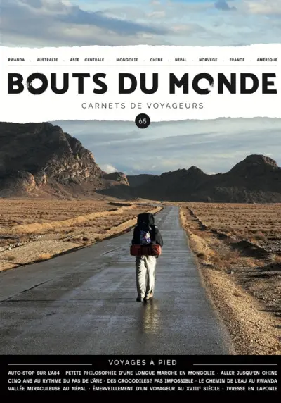 Bouts du monde : carnets de voyageurs, n° 65. Voyages à pied