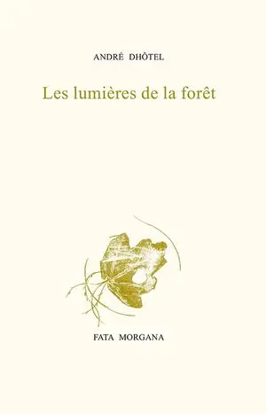 Les lumières de la forêt