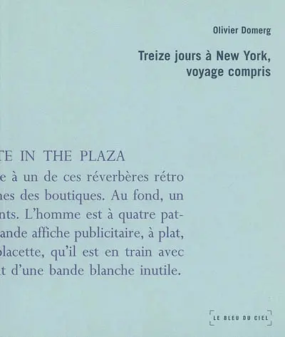 Treize jours à New York, voyage compris