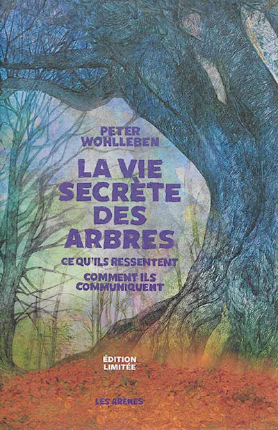 La vie secrète des arbres : ce qu'ils ressentent, comment ils communiquent