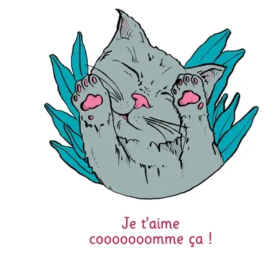 Je t'aime cooooooomme ça ! : Illustré par Anne Bory