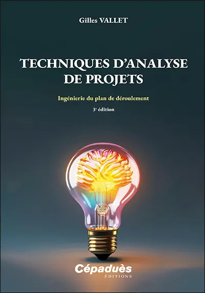 Techniques d'analyse de projets : ingénierie du plan de déroulement