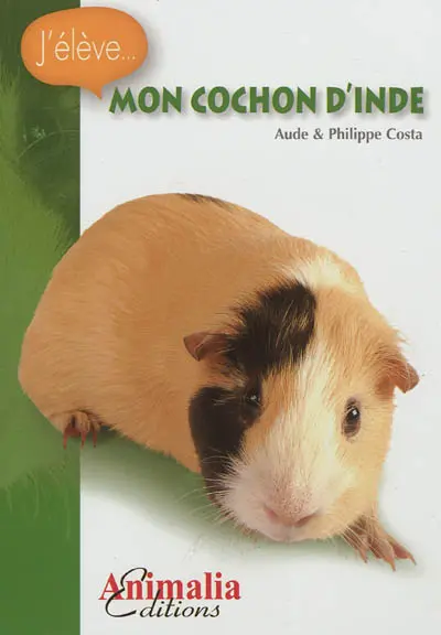 Mon cochon d'Inde