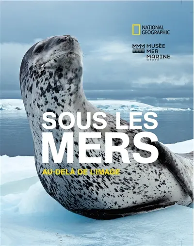 Sous les mers : au delà de l'image