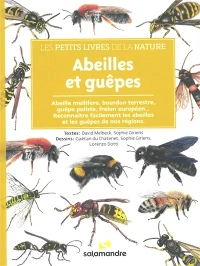 Abeilles et guêpes : abeille mellifère, bourdon terrestre, guêpe poliste, frelon européen... : reconnaître facilement les abeilles et les guêpes de nos régions