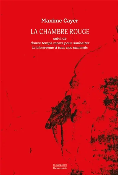 La chambre rouge. Douze temps morts pour souhaiter la bienvenue à tous nos ennemis