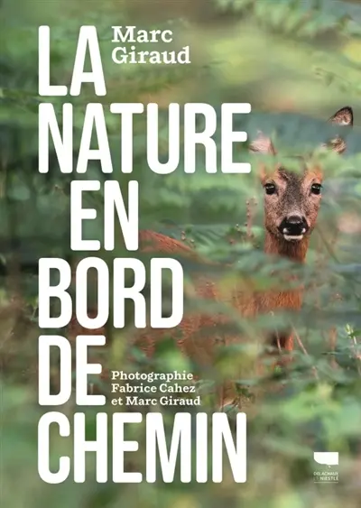 La nature en bord de chemin