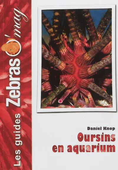 Oursins en aquarium