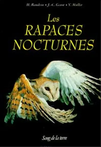Les rapaces nocturnes