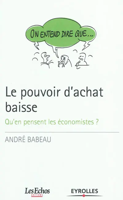 Le pouvoir d'achat baisse : qu'en pensent les économistes ?