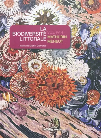 La biodiversité littorale vue par Mathurin Méheut