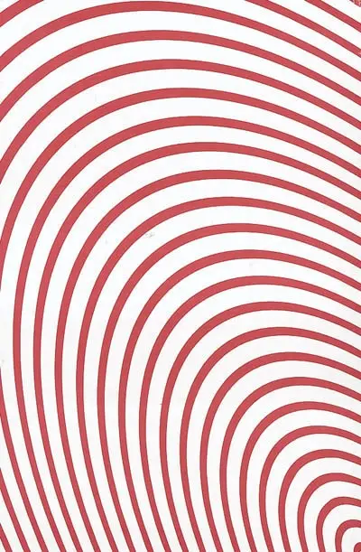 Felice Varini : points de vue