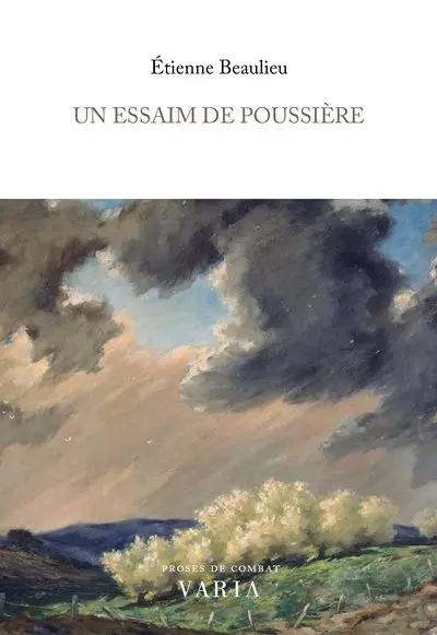 Un essaim de poussière