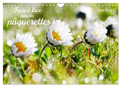 Face à face avec les pâquerettes (Calendrier mural 2026 DIN A4 vertical), CALVENDO calendrier mensuel : Regarder en face les robustes fleurs des champs qui résistent à la neige et à la glace