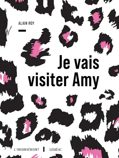 Je vais visiter Amy