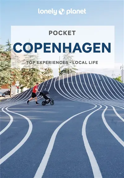 Pocket Copenhagen : top experiences, local life