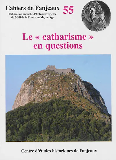 Le catharisme en questions