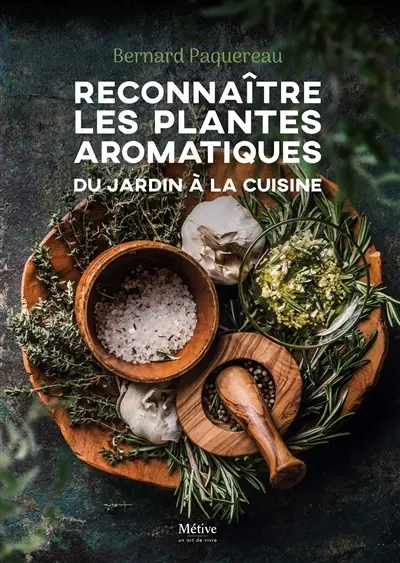 Reconnaître les plantes aromatiques : du jardin à la cuisine